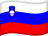 Slovenia Flag